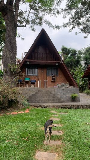 Image 21 - 869418