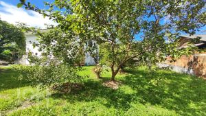 Image 8 - 869434