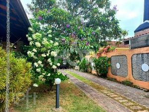 Image 17 - 869439
