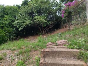 Image 45 - 869529