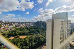 Image 6 - 869560