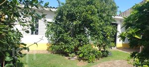 Image 8 - 869591
