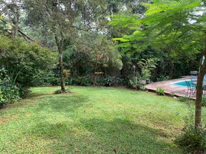 Image 2 - 869676