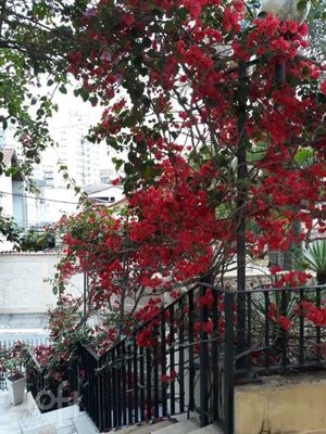 Image 8 - 869767