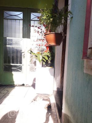 Image 4 - 869784