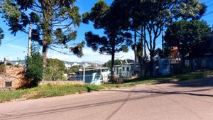 Image 3 - 869789