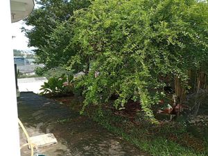 Image 30 - 869843