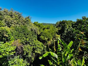 Image 21 - 869845