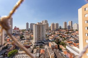 Image 17 - 869861