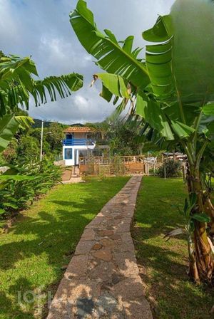 Image 16 - 869866