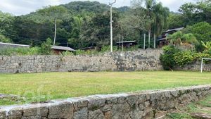 Image 19 - 869866