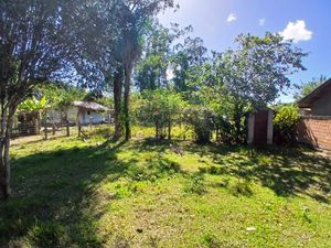 Image 8 - 869910