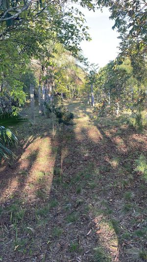 Image 6 - 870001