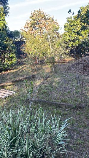 Image 8 - 870001