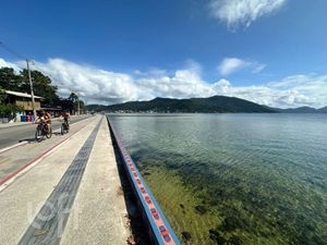 Image 15 - 870098