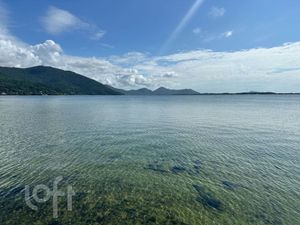 Image 10 - 870098