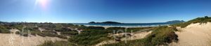 Image 39 - 870102
