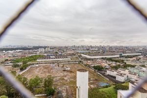 Image 25 - 870117