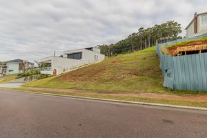 Image 4 - 870193