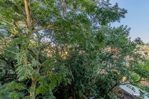 Image 10 - 870257