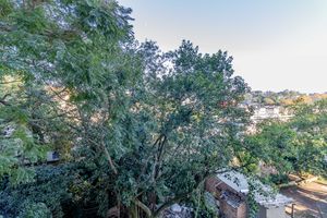 Image 16 - 870257