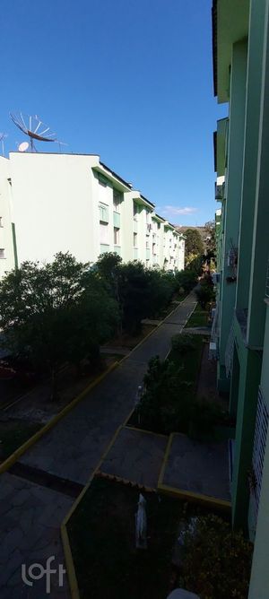 Image 19 - 870331
