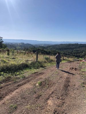 Image 4 - 870333