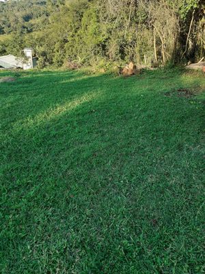 Image 1 - 870333