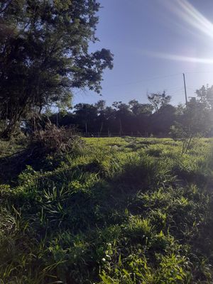 Image 3 - 870333