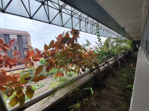 Image 11 - 870370