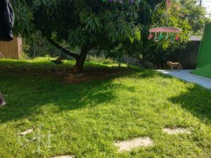 Image 10 - 870372