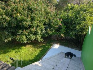 Image 7 - 870372