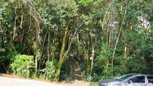 Image 29 - 870419