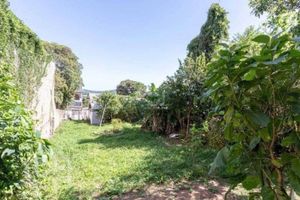 Image 17 - 870578