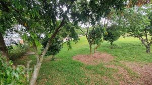 Image 33 - 870580