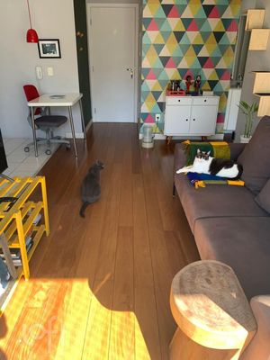Image 2 - 870609