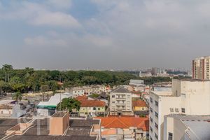Image 25 - 870838