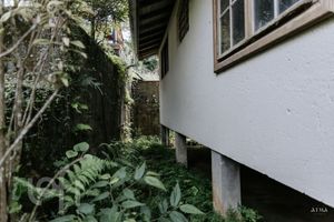 Image 30 - 870915