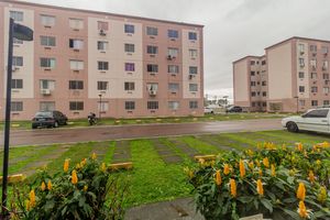 Image 10 - 870923
