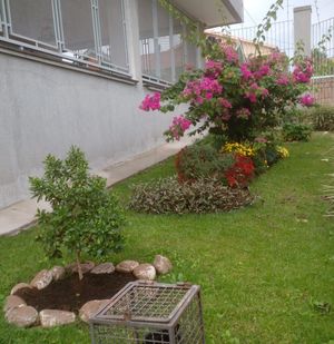 Image 4 - 870935