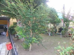 Image 33 - 870939