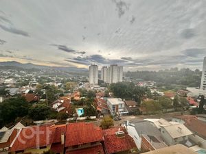 Image 11 - 870993