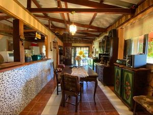 Image 8 - 870999