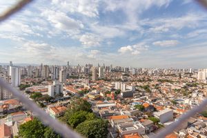 Image 18 - 871013