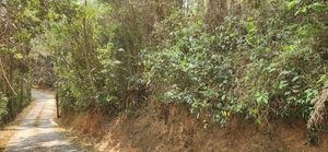 Image 1 - 871151