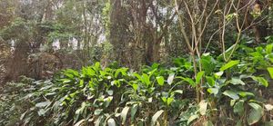 Image 2 - 871151