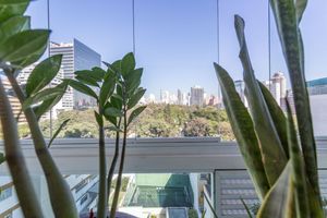 Image 8 - 871160