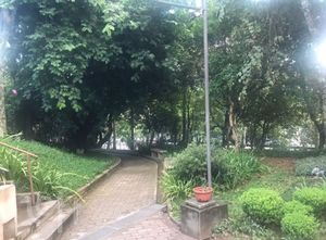 Image 8 - 871458
