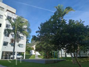 Image 20 - 871496