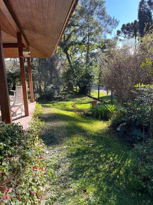 Image 38 - 871501